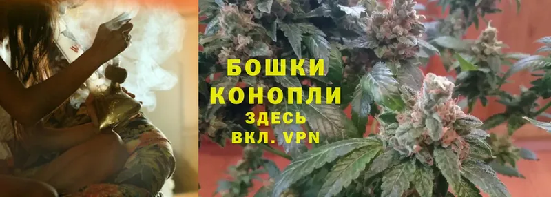 Бошки марихуана THC 21%  Амурск 